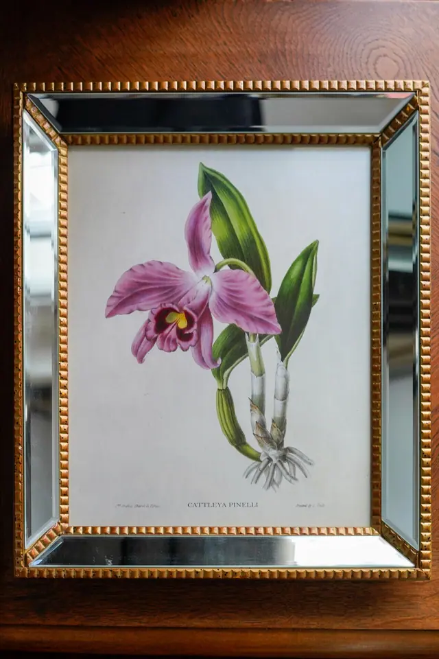 Cattleya Pineli Baskı ve Two's Company Aynalı Çerçeve