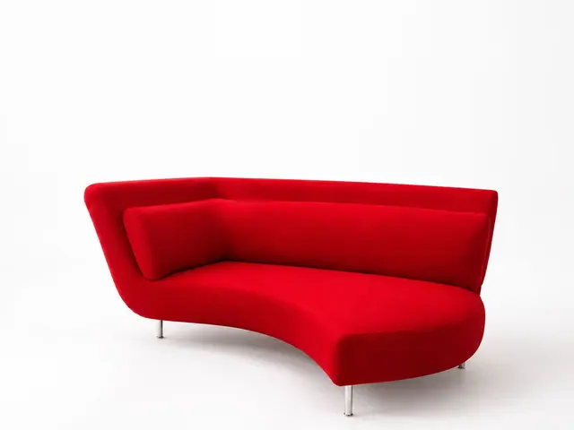 Ligne Roset Ying Kanepe